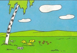 Picture